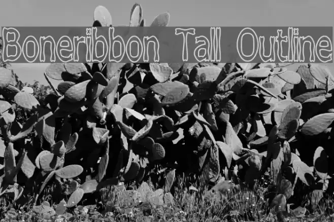 Boneribbon Tall Outline Font examples