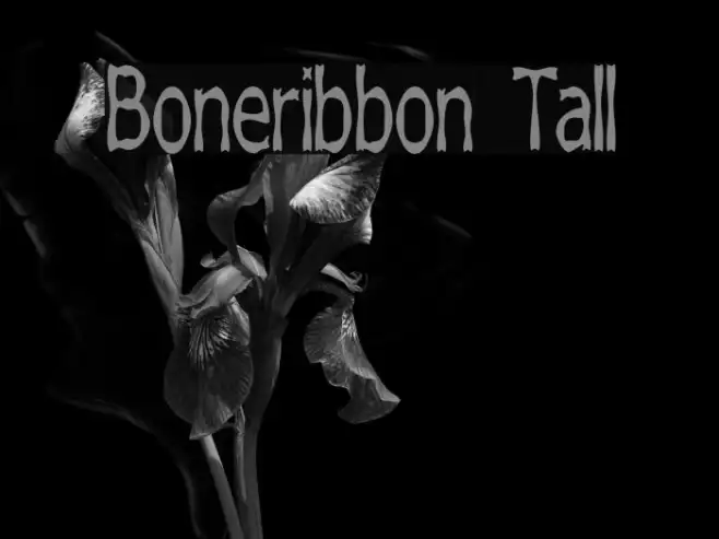 Boneribbon Tall Example 1