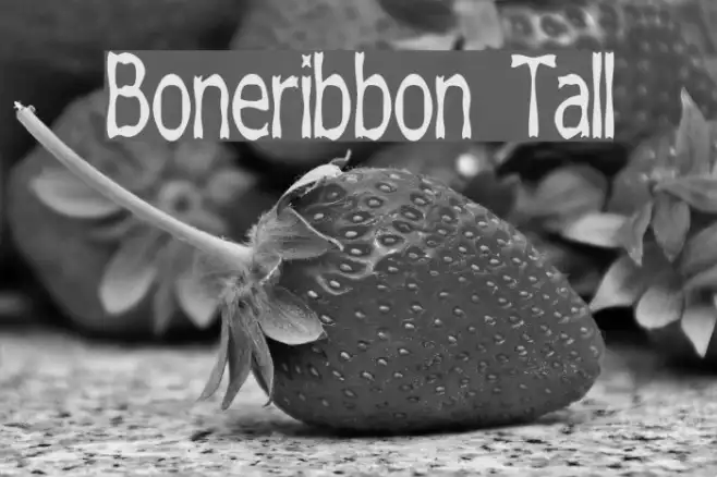 Boneribbon Tall Example 3