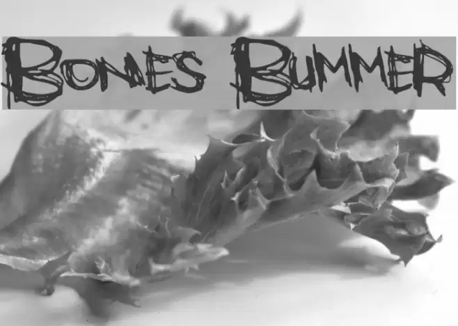 Bones Bummer Font examples