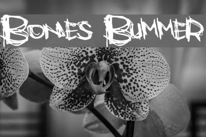 Bones Bummer Font examples