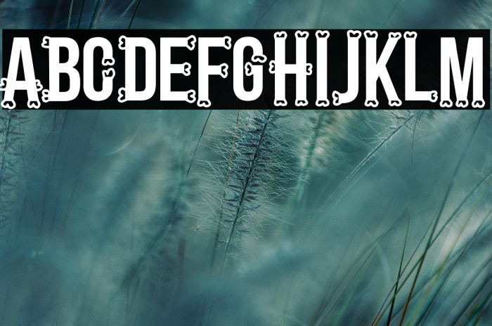 Bones Regular Example 2