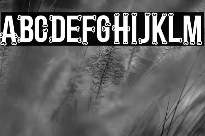 Bones Regular Font examples