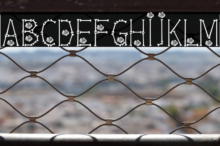 Bones  Roses Thin Example 1