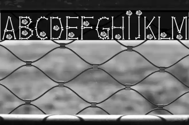 Bones  Roses Thin Font examples