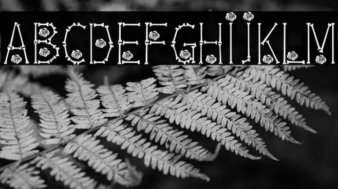 Bones  Roses Thin Font examples