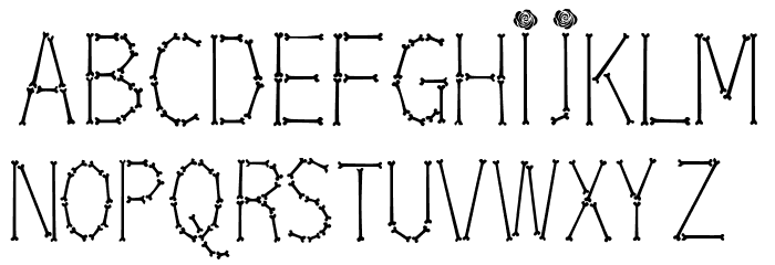 Bones Roses Thin Font Litere mici