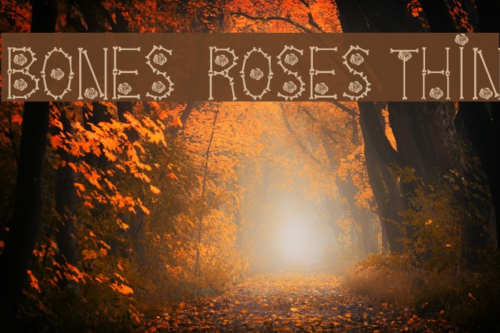 Bones Roses Thin Font examples