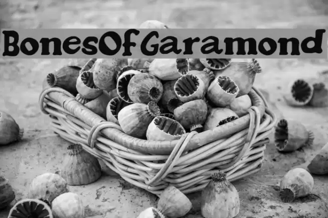 BonesOfGaramond Font examples
