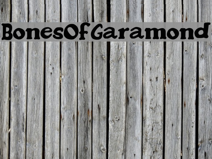 BonesOfGaramond Font examples