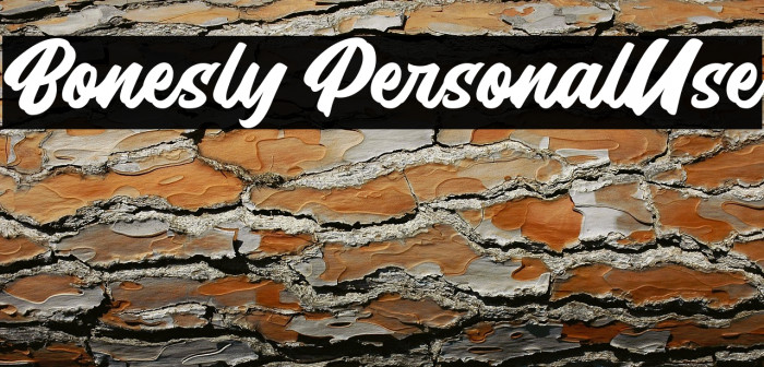 Bonesly PersonalUse Example 1