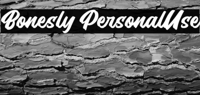 Bonesly PersonalUse Example 1
