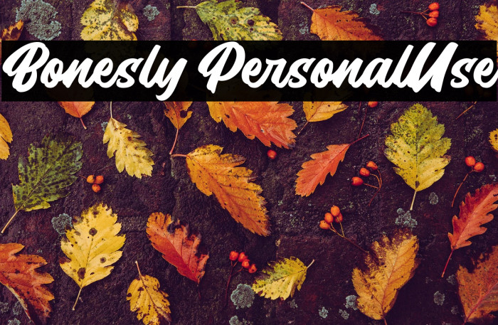 Bonesly PersonalUse Example 2