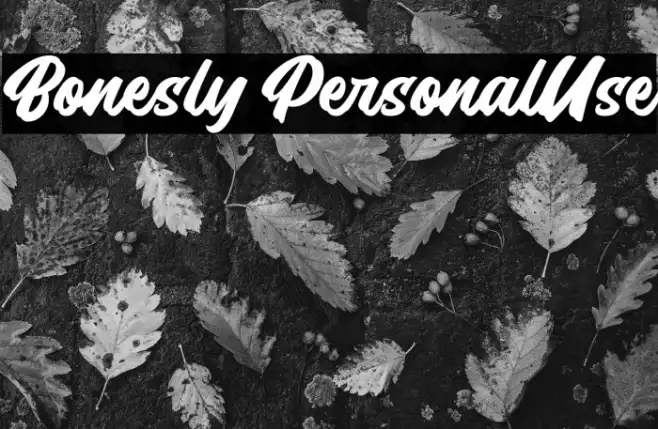 Bonesly PersonalUse Example 2