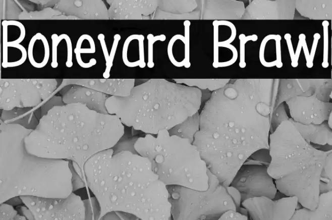 Boneyard Brawl Font examples