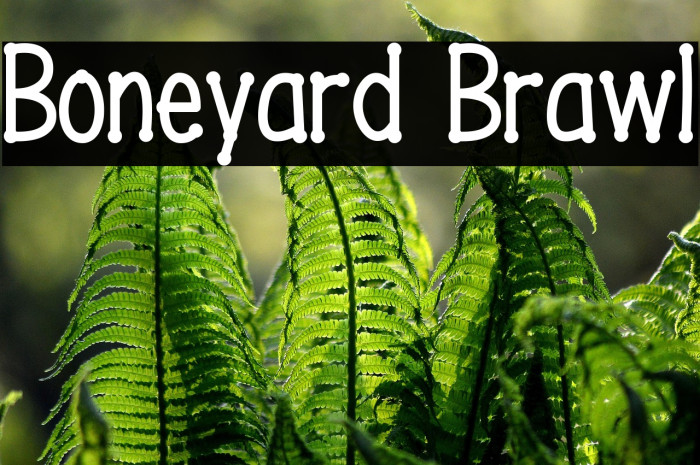 Boneyard Brawl Example 3