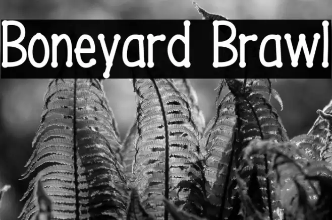 Boneyard Brawl Font examples