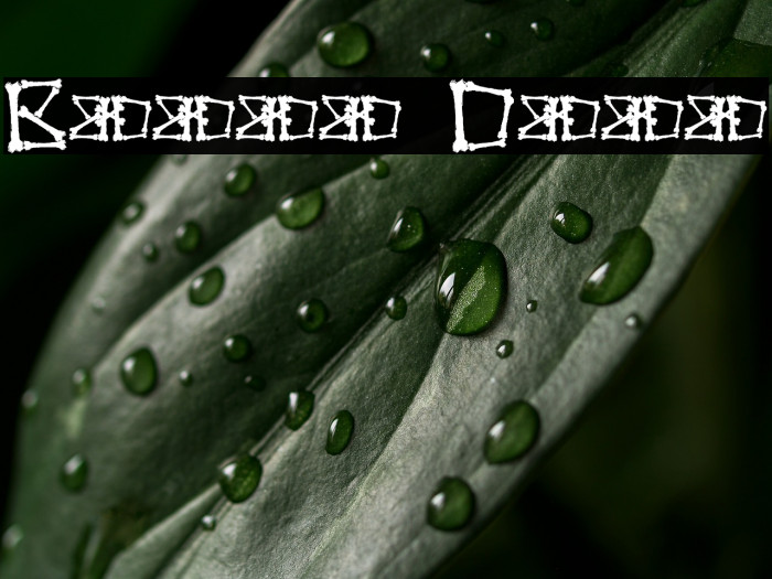 Bonez Demo Example 2