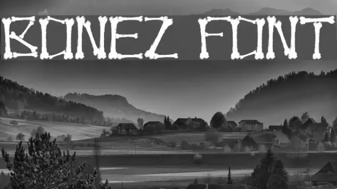 Bonez Example 1