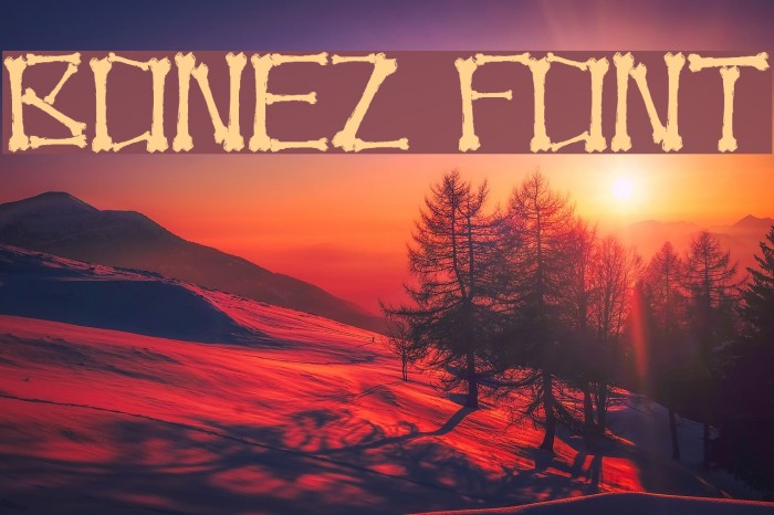 Bonez Font examples