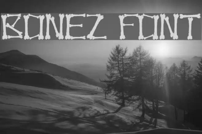 Bonez Example 3