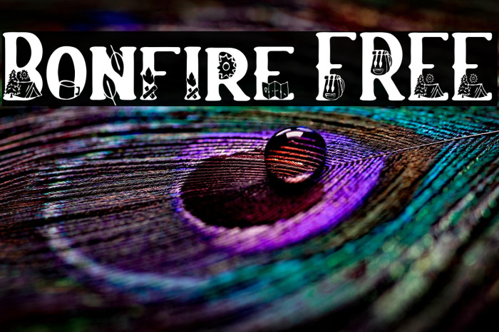 Bonfire FREE Example 2