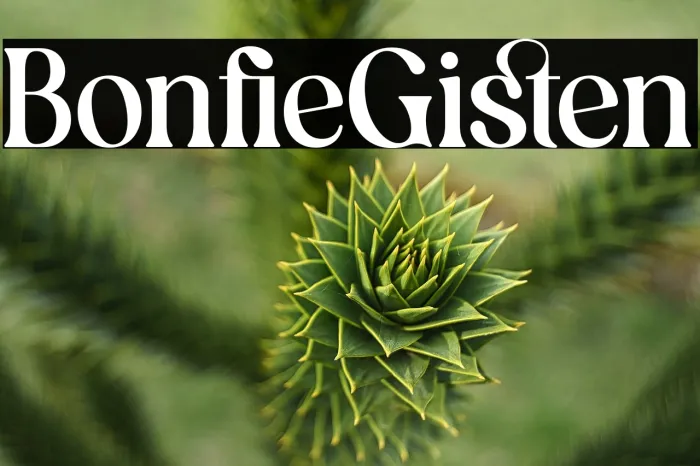 Bonfire Glisten Example 3