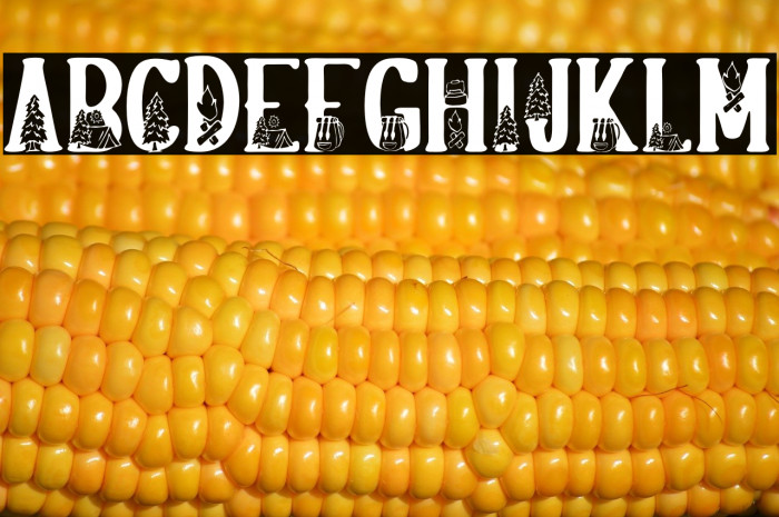 BonfireFREE Example 1