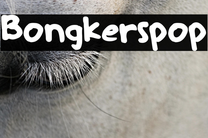 Bongkerspop Example 2