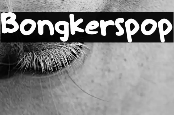 Bongkerspop Font examples