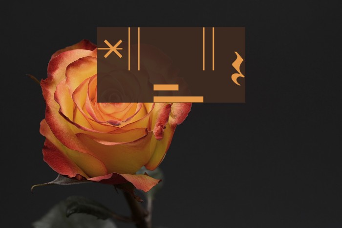 Bongos2 Font examples