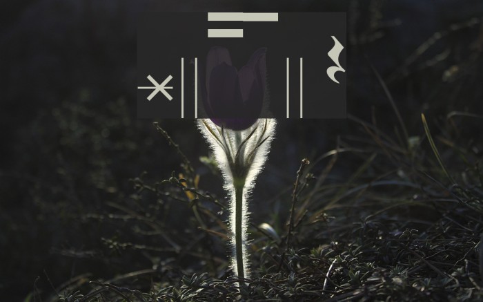 Bongos Font examples