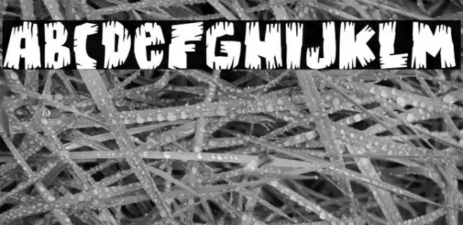 Bongus Font examples