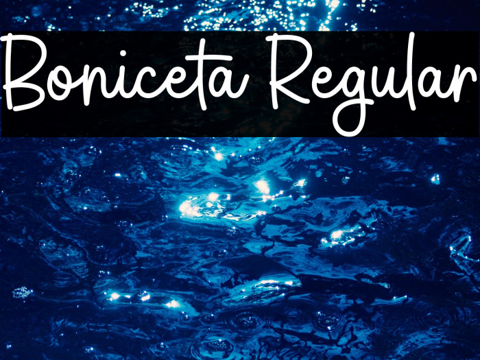 Boniceta Regular Example 1