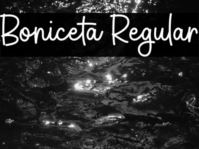 Boniceta Regular Example 1