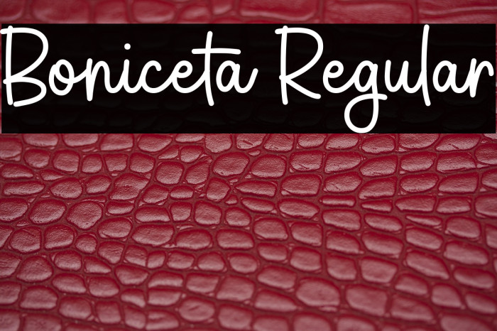 Boniceta Regular Example 2