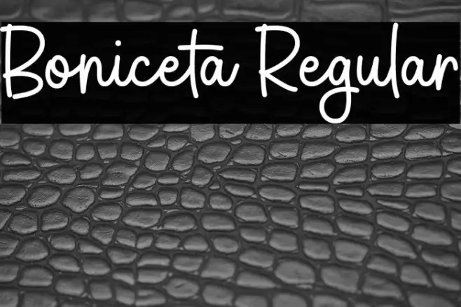 Boniceta Regular Example 2