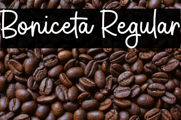 Boniceta Regular Example 3