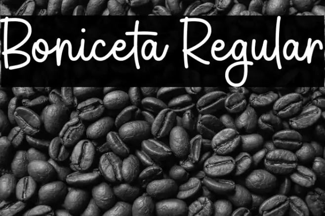 Boniceta Regular Example 3