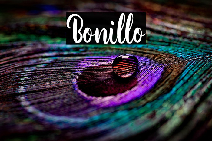 Bonillo Example 3