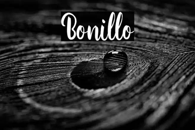 Bonillo Font examples