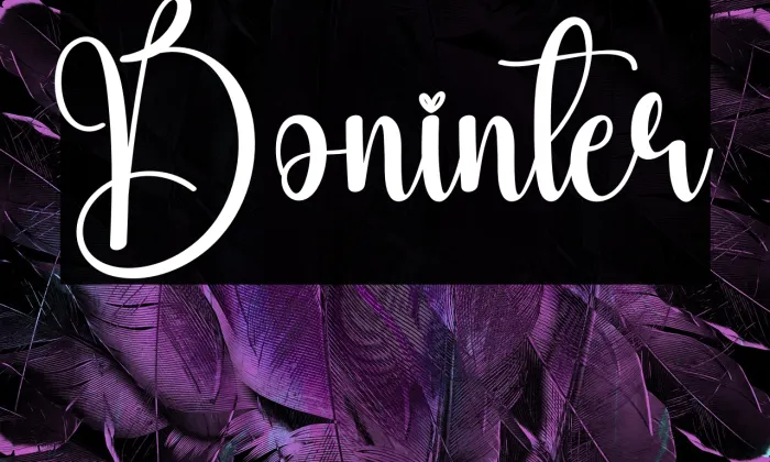 Boninter Example 2
