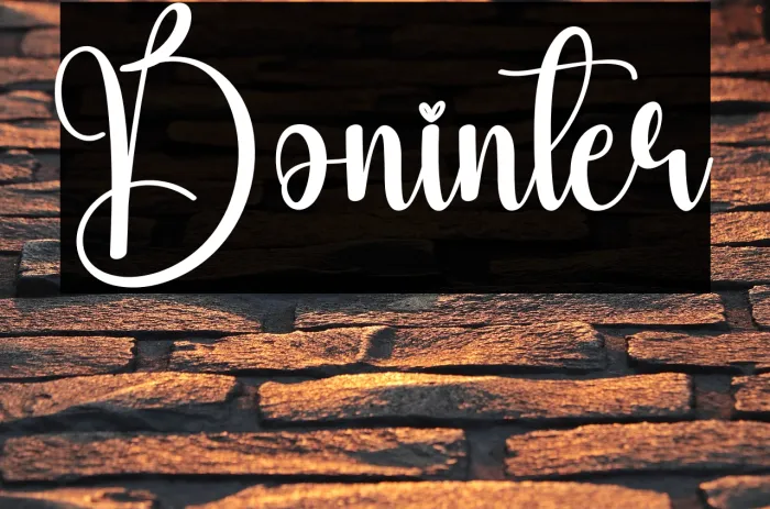 Boninter Example 3