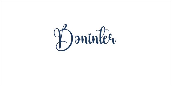 Boninter Logo