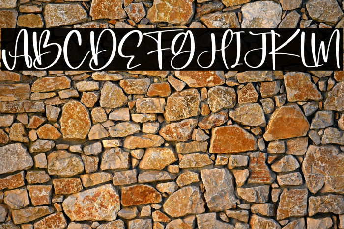 Bonistha Daily Example 1