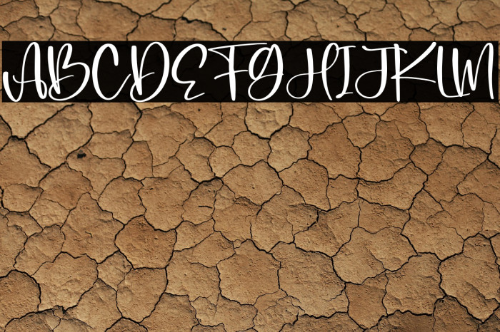 Bonistha Daily Example 2