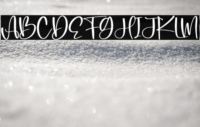 Bonistha Daily Example 3