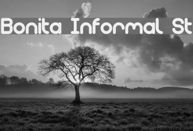 Bonita Informal St Font examples