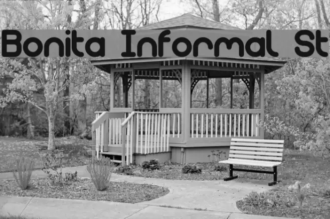 Bonita Informal St Font examples