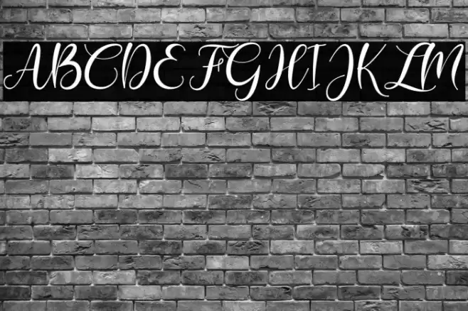 Bonita Font examples